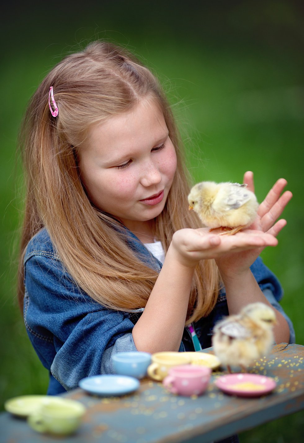 imagesevents27421girl-with-chick-jpg.jpe
