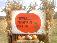 Powell Pumpkin Patch