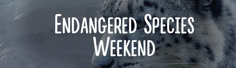 imagesevents31776Endangered-Species-weekend-event-banner-jpg.jpe