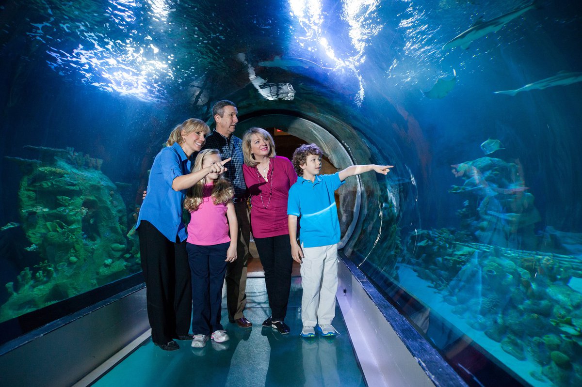 These Rescue Puppies Had a 'Ball' Exploring the SEA LIFE Aquarium at the  Mall of America