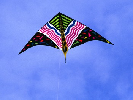 kite-2.png