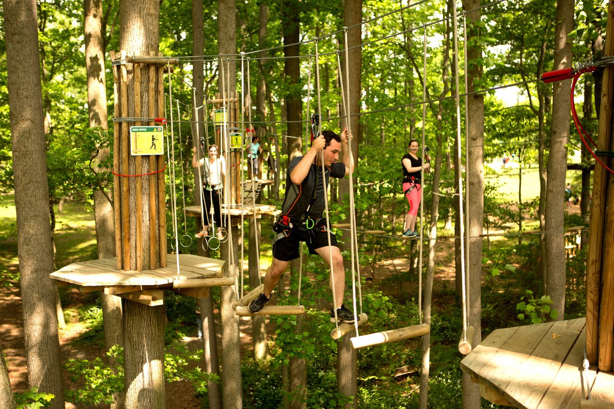 Go Ape Kc Parent Magazine