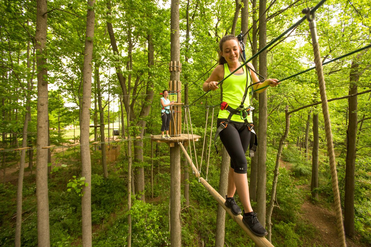 Go Ape Kc Parent Magazine