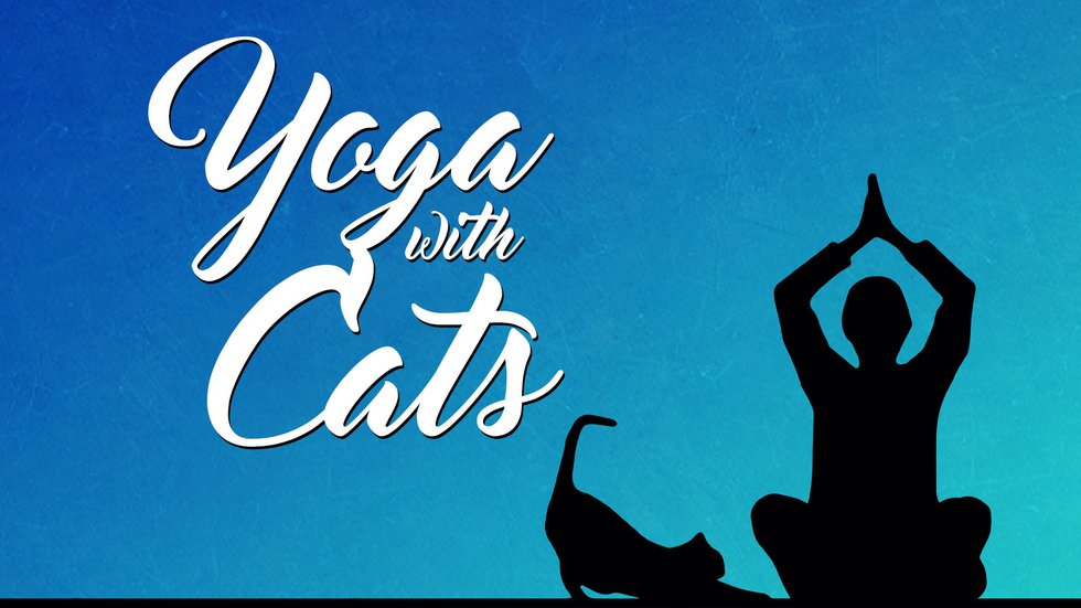 Yoga with cats.jpg