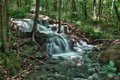 parkvillenaturesanctuarywaterfall.jpg