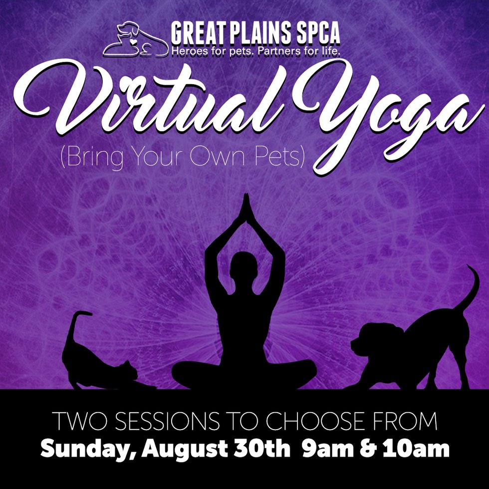 virtual-yoga-social.png