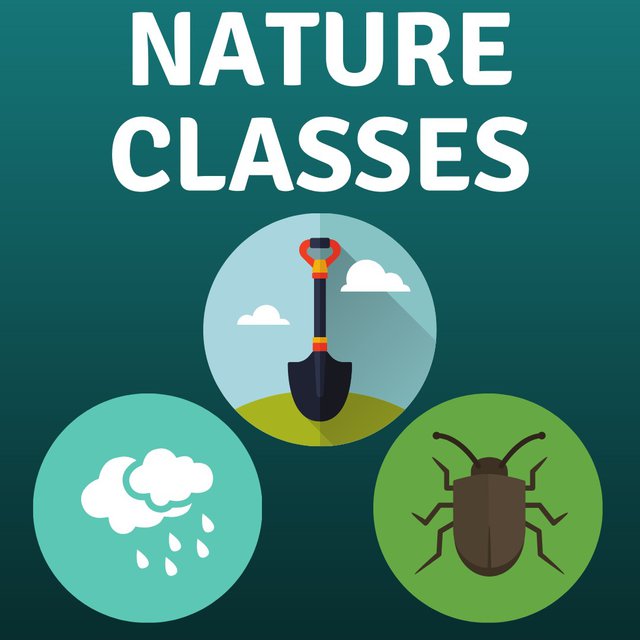 thumbnail_nature classes.jpg