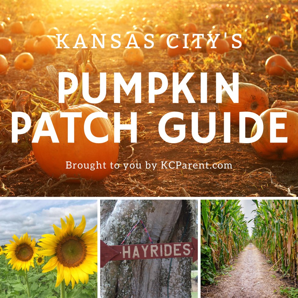 Pumpkin Patch Guide.png