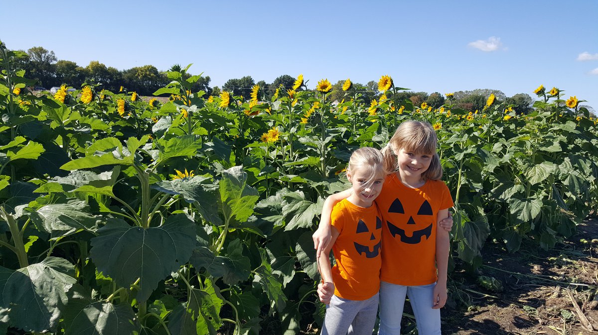 Visiting Johnson Farms Plants & Pumpkins KC Parent Magazine