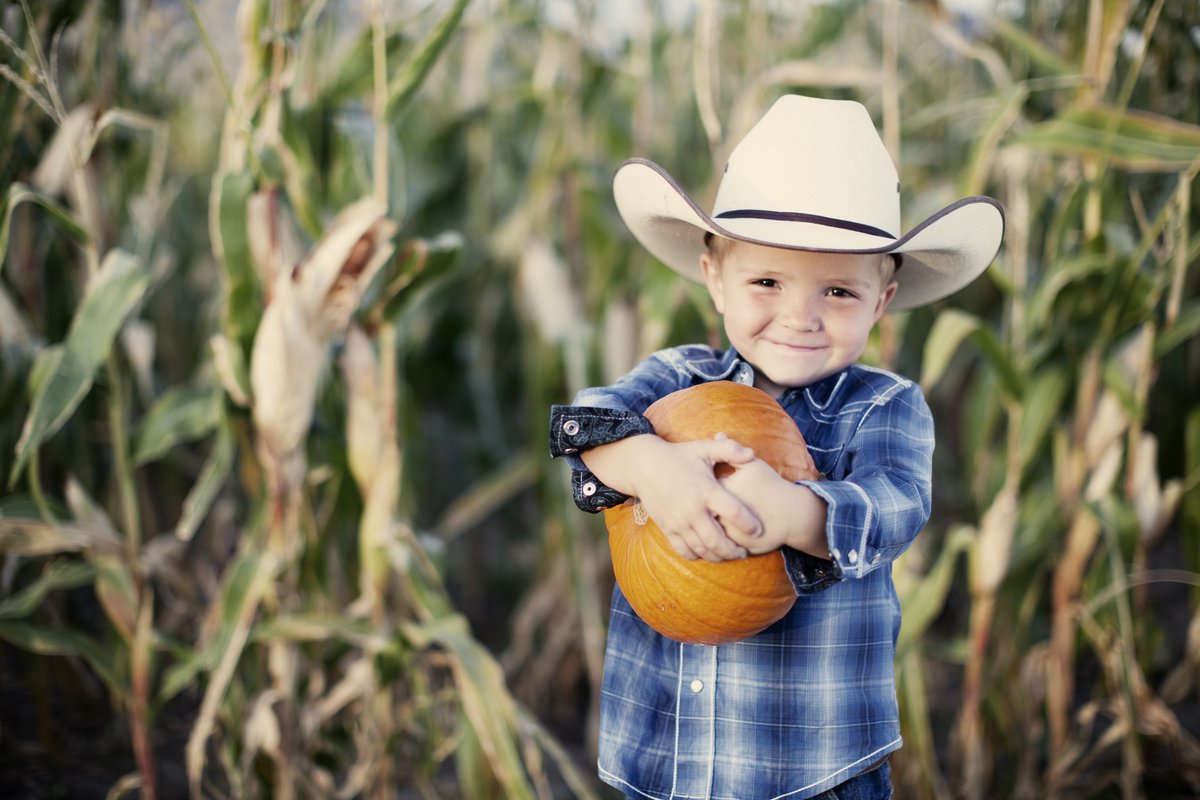 Seven Memorable Fall Traditions for KC Tots - KC Parent Magazine