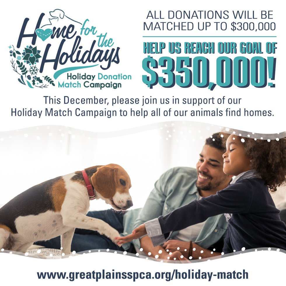 Great Plains SPCA Home For The Holidays Campaign KC Parent Magazine   Hfth20 Dogfamily Social 