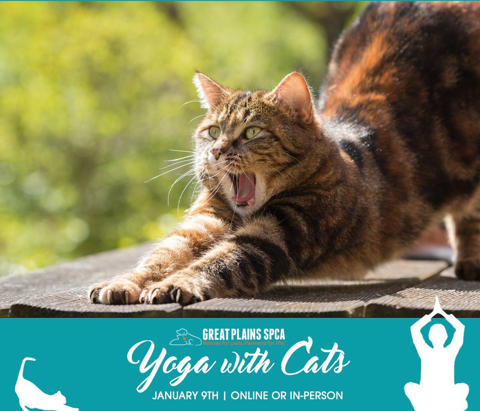 catyoga-social2a.jpg