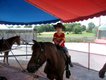 grant-on-horse-at-ranch-birthday-party-300x225.jpg