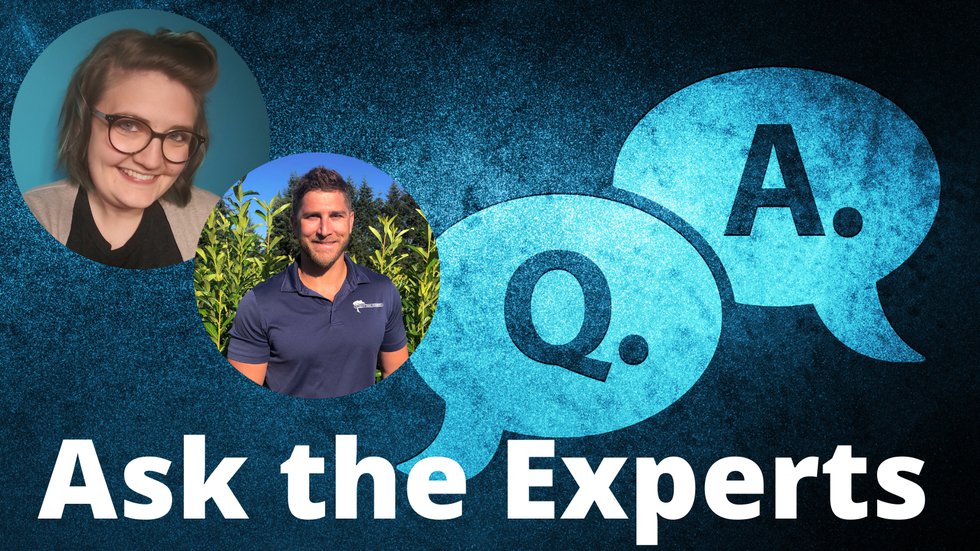 Copy of Ask the Experts (2).png