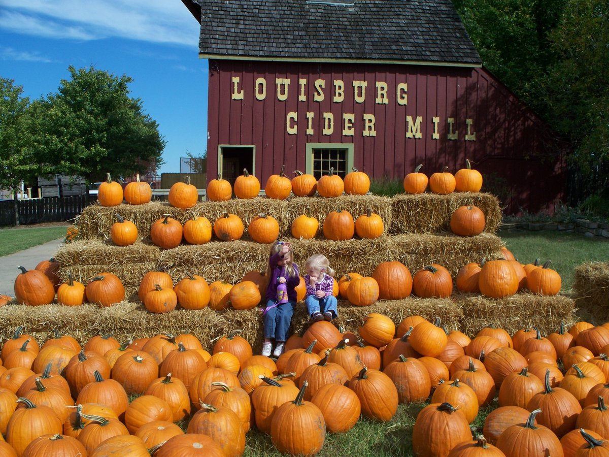 Watching Cider Making at Louisburg Cider Mill KC Parent Magazine