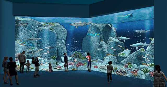 Aquarium.jpg