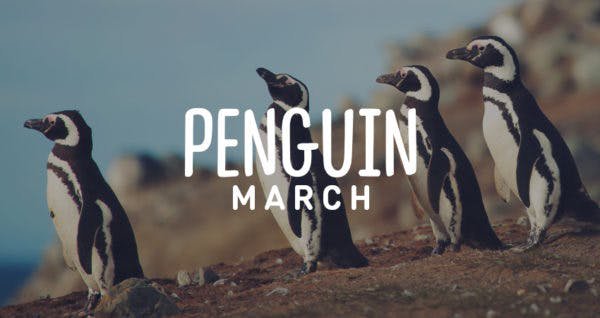 Penguin March Thumb.jpg