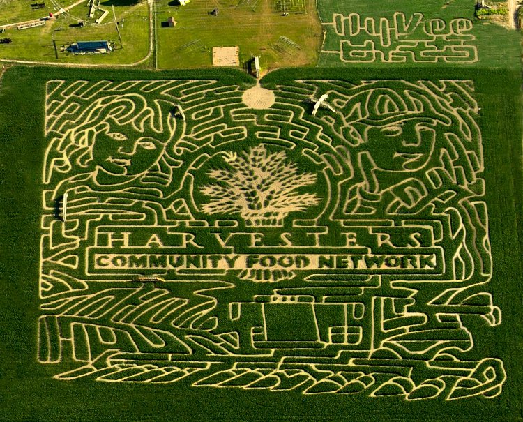 2012 Corn maze.jpg.jpe