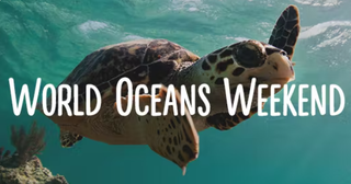 worldoceansweekend.png