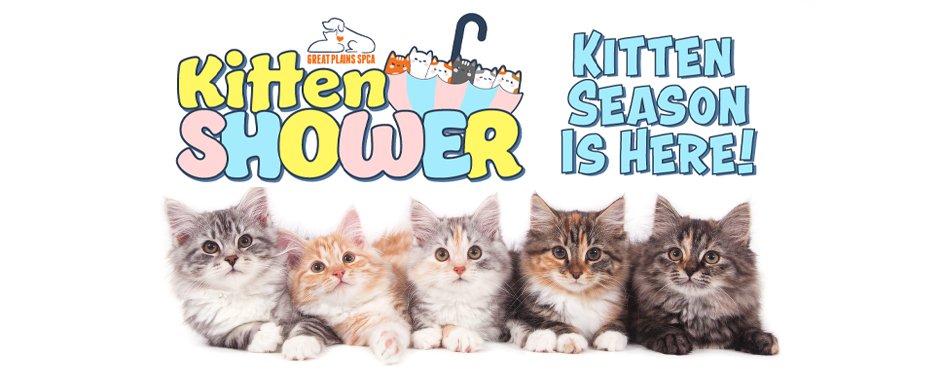 kittenshower-fbheader22.png