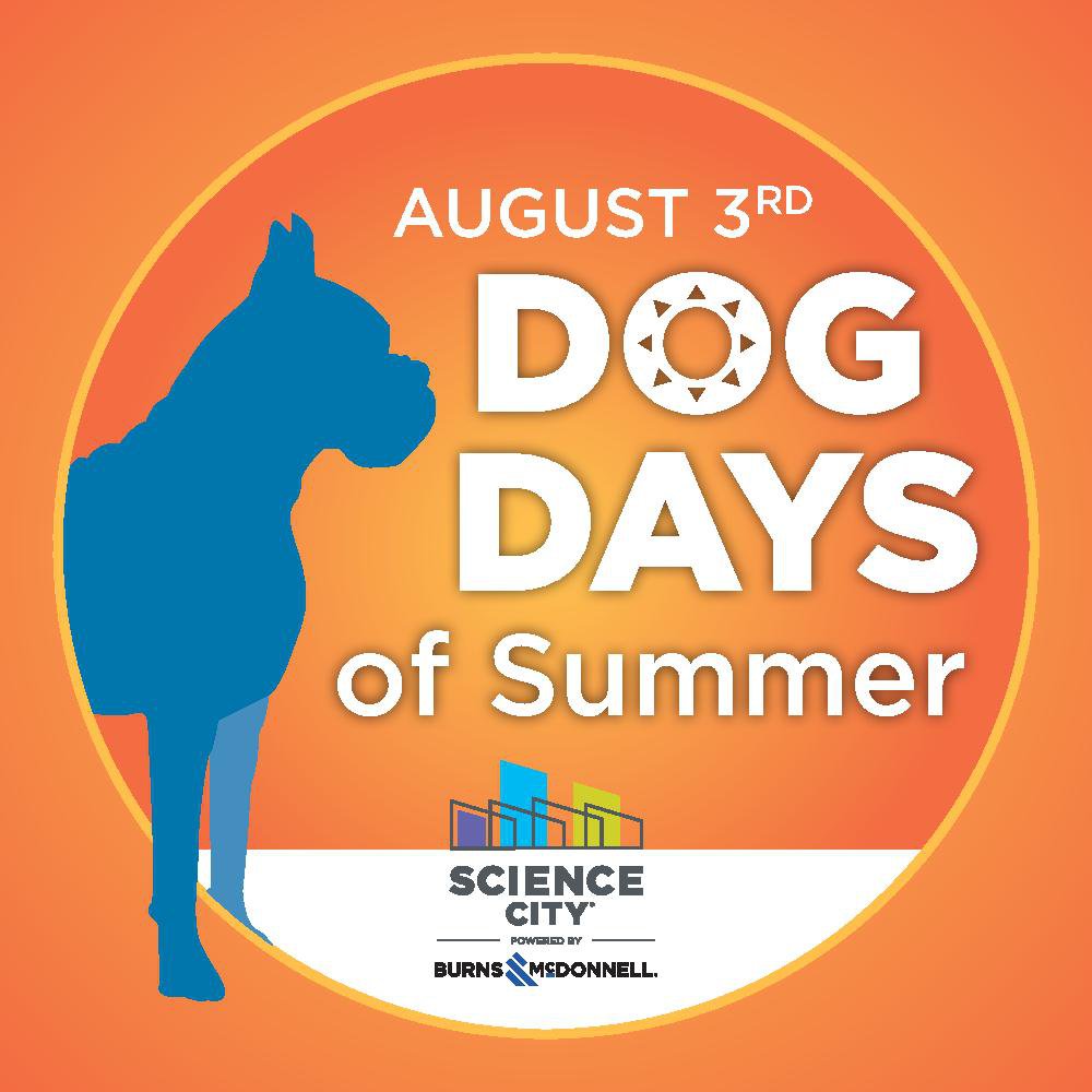 Dog Days of Summer KC Parent Magazine