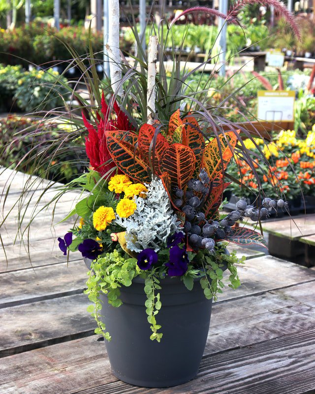 FALL CONTAINER WORKSHOPS - KC Parent Magazine