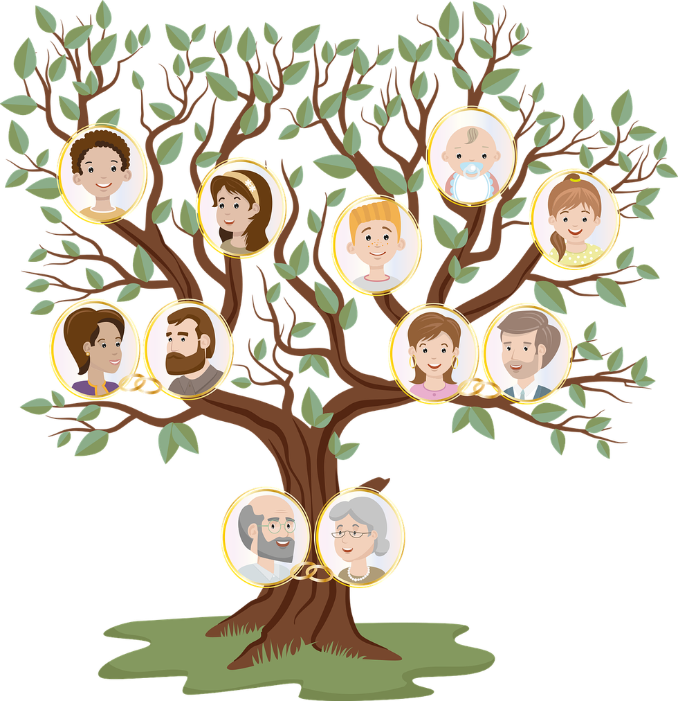 family-tree-g9384a3bf8_1280.png