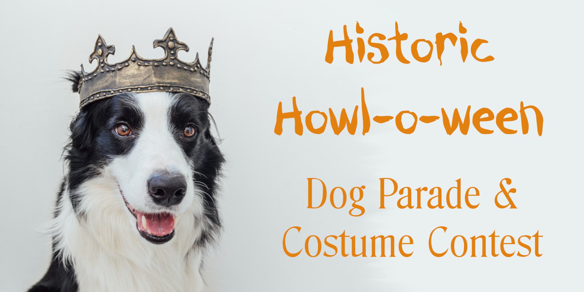 Bar Dog Wine's HOWL-oween dog costume contest features adoptable pups