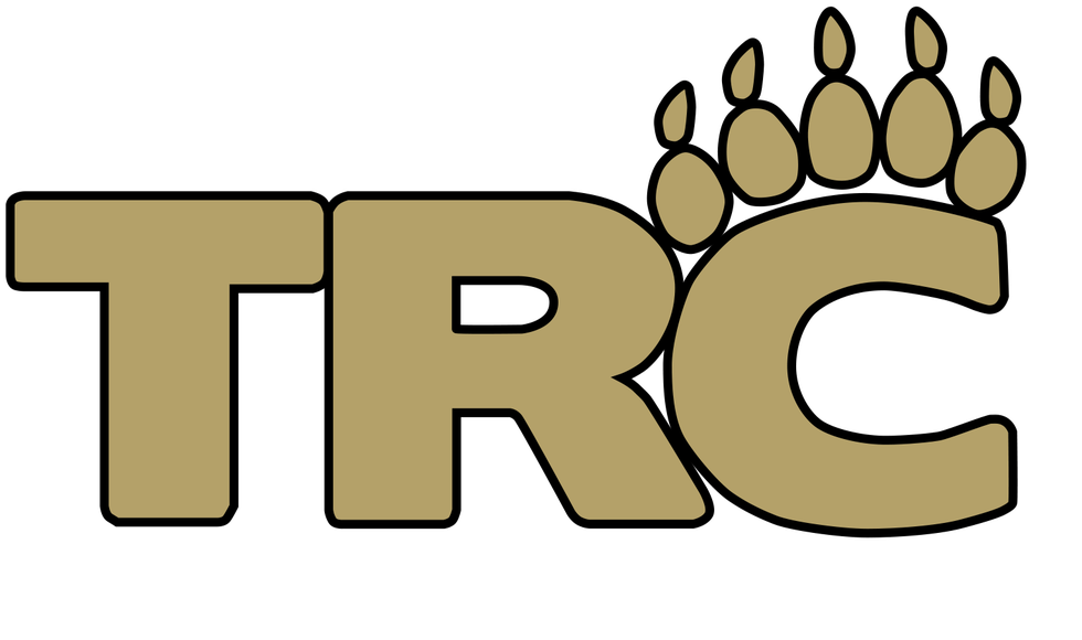 Turner Rec Commission logo (color)
