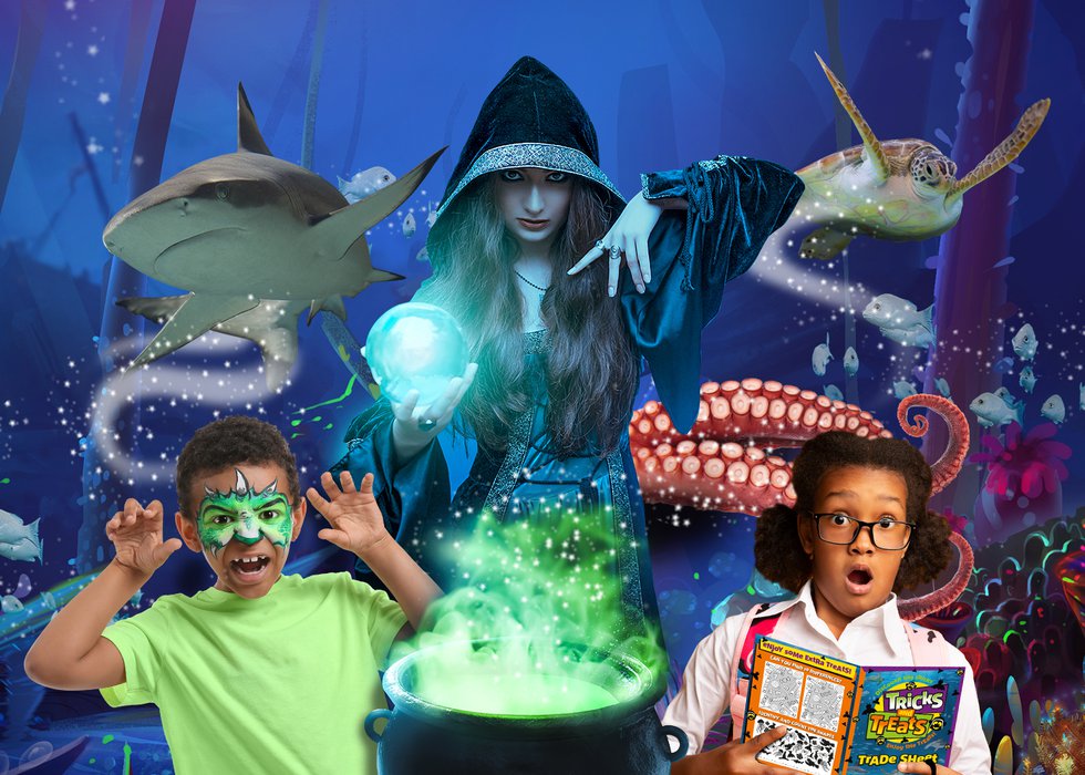 Tricks and Treats at Sea Life KC Parent Magazine