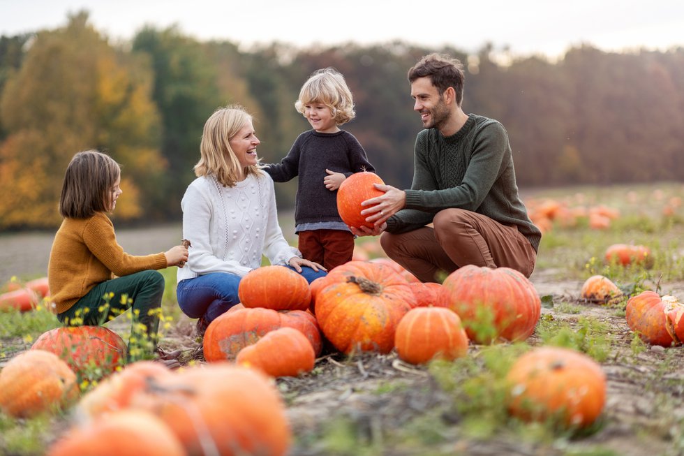 pumpkin patch near belton mo