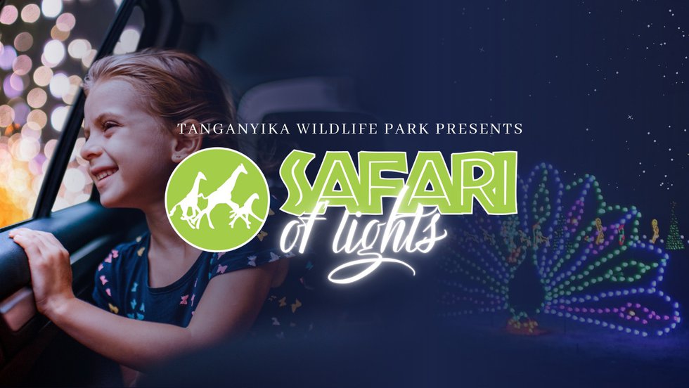 safarioflights.jpg