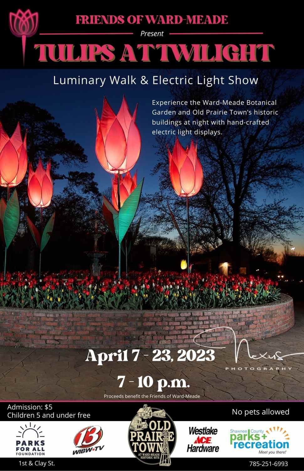 Tulips at Twilight Poster - 2022.pdf (1).jpg