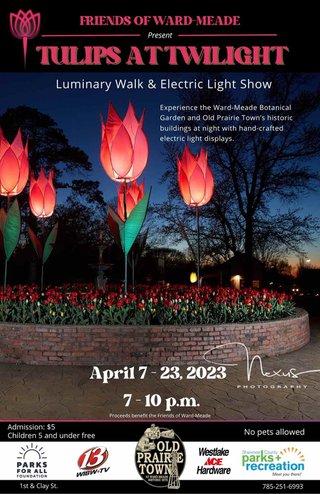 Tulips at Twilight Poster - 2022.pdf (1).jpg