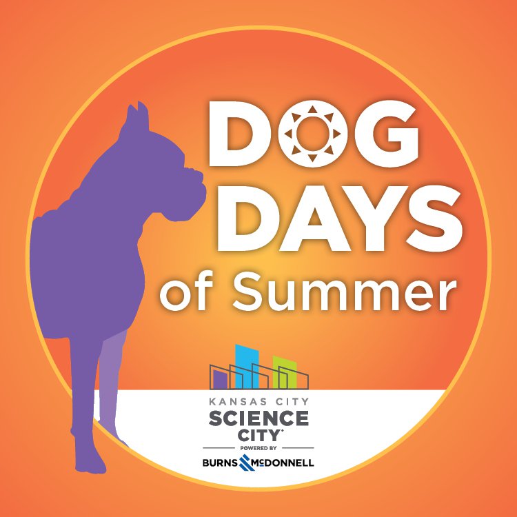 DOG DAYS, Special Event