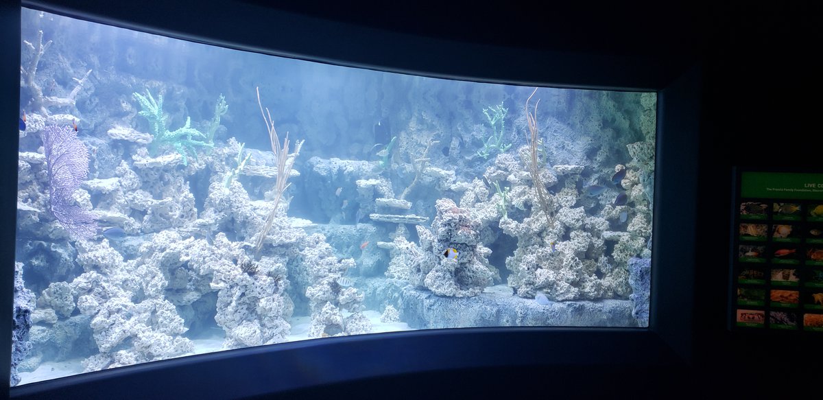 The NEW Sobela Ocean Aquarium - KC Parent Magazine