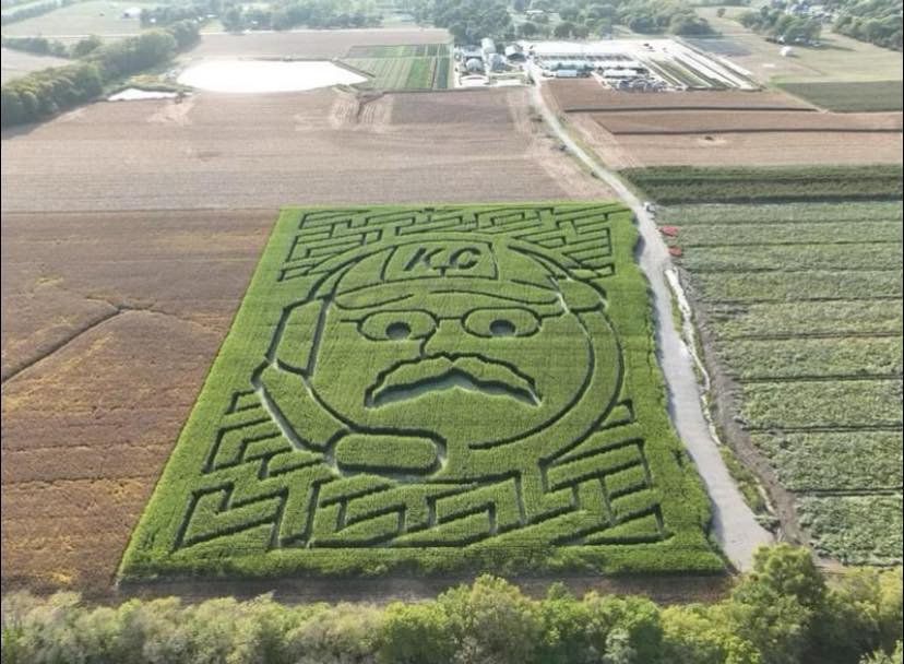 johnsonfarmsmaze.jpg