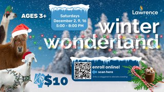 Winter Wonderland Flier - 1