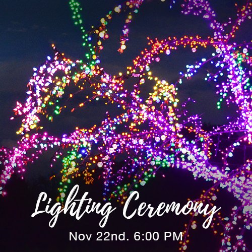 magictreelightingceremony.jpg