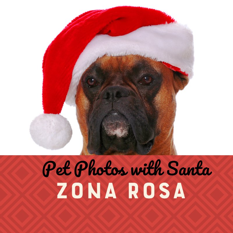 Pet Photo with Santa at Zona Rosa KC Parent Magazine