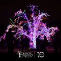 magic-tree-celebrating-10-years.jpg