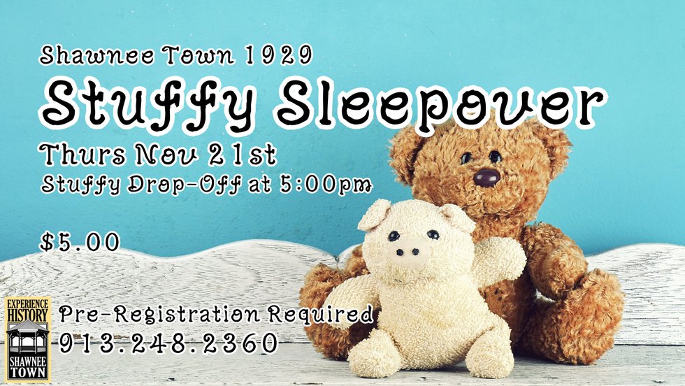 Stuffy Sleepover (Facebook Cover) - 1