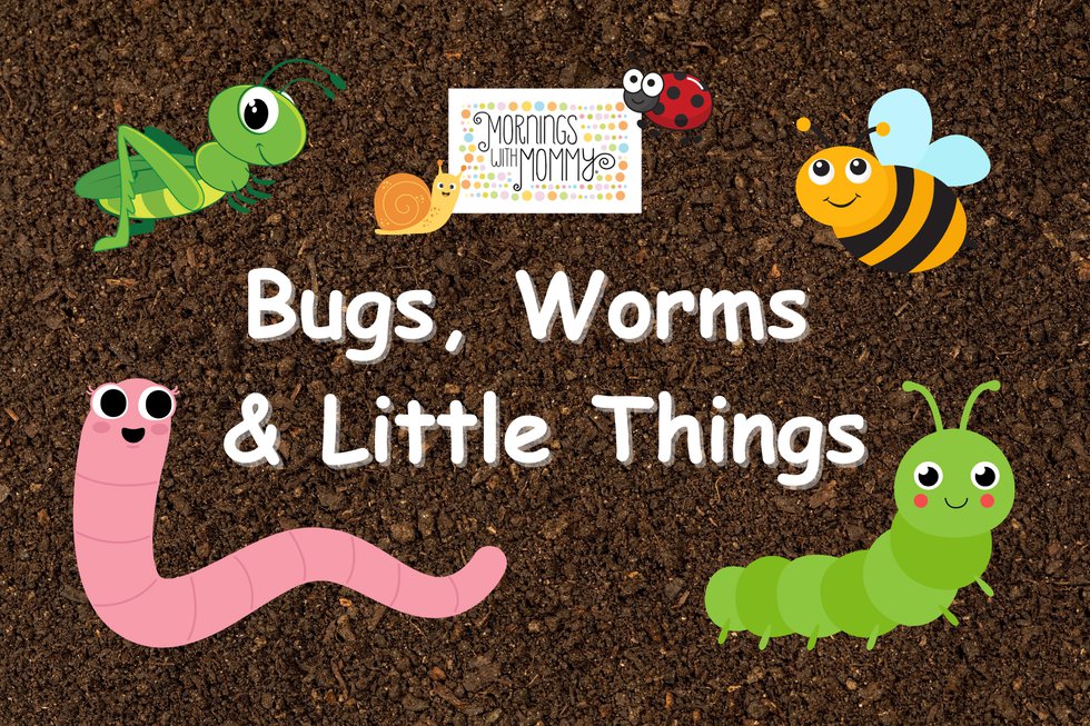 Bugs, Worms &amp; Little Things - 1