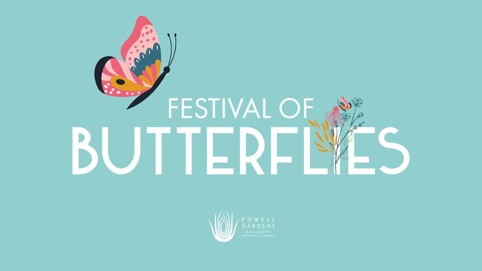 festivalofbutterflies.jpg