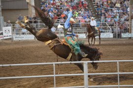 Rodeo Buckin Bronc.jpg