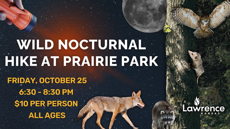 7.19 - Wild Nocturnal Hike @ PPNC - 1