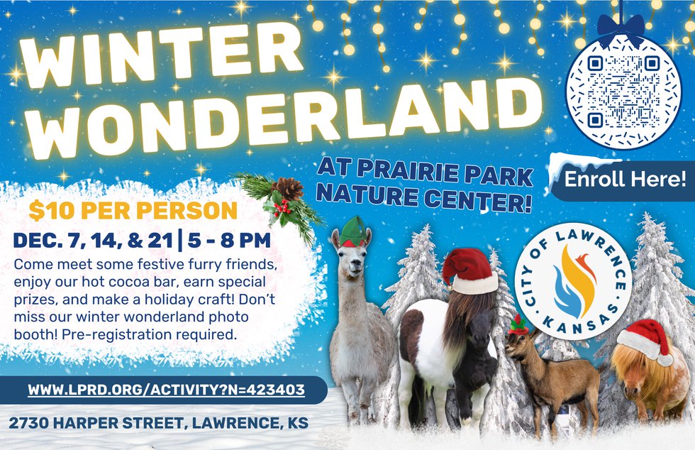 Winter Wonderland Flyer 2024 - FINAL