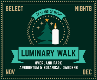 ARFOP Luminary Walk Web Ad.png