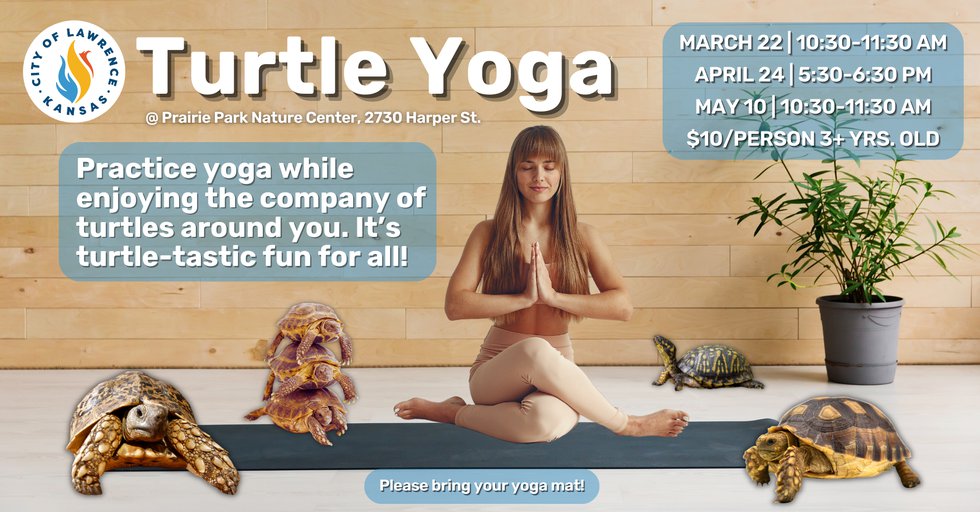 Comprehensive flyer archive - Turtle Yoga