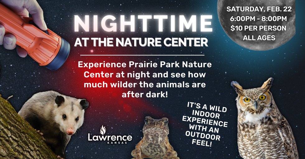 Comprehensive flyer archive - Nighttime at the Nature Center